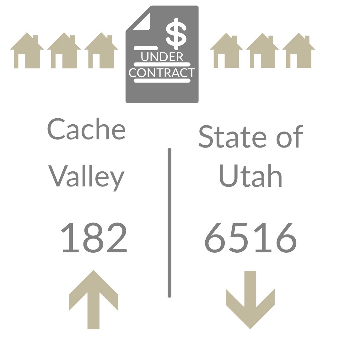 Century21NN's tweet photo. #statisticssunday 🏡 Here’s this week’s (March 21st) home market statistics from https://t.co/o4hxpc5Tmx for Cache Valley & UT⤵️.
.
.
.
.
#C21 #C21nn https://t.co/rEAzn0qcnb