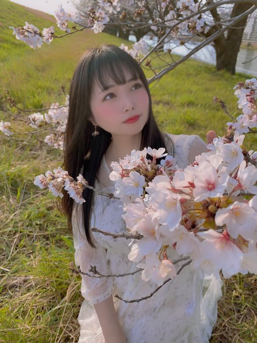 コスプレイヤー中本yuiのTwitter画像69