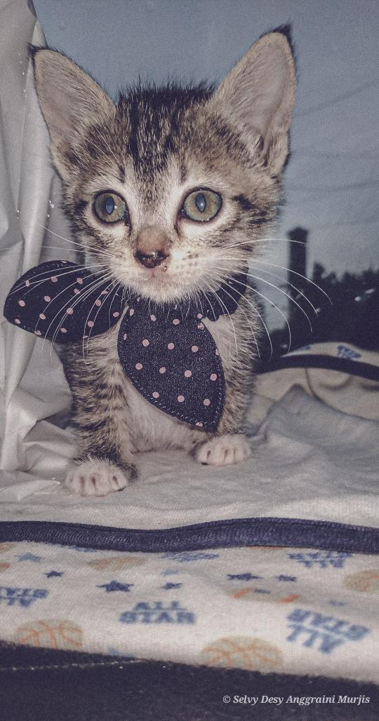 Mixdome Hashtag On Twitter