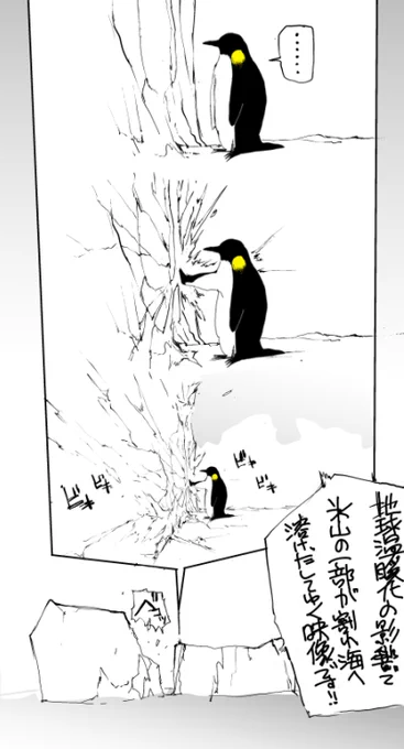 今日のペンギン11「壁を叩いたつもりが氷山の一角を海に落としてしまうショウテイペンギン」 