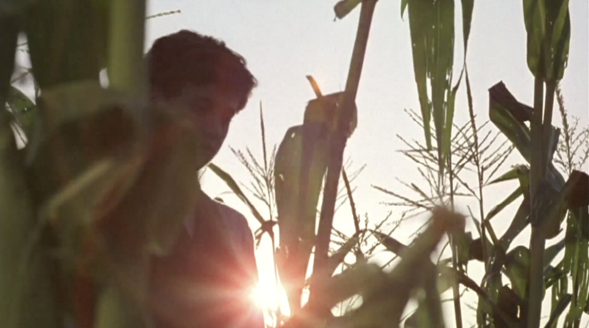 CHILDREN OF THE CORN III: URBAN HARVEST (Hickox, 1995)