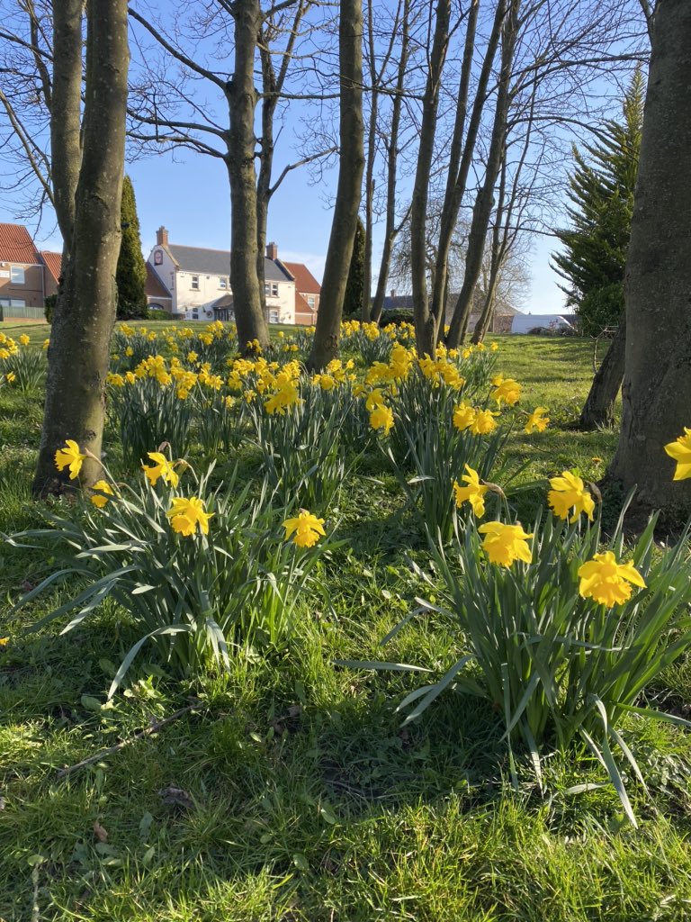 How was everyone’s weekend? We bet a little different from usual but it’s great to see some sunshine! Certainly lifted our spirits #springtime