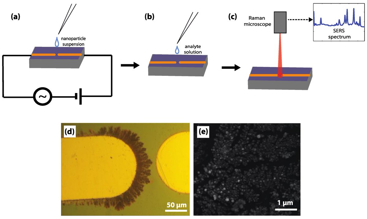 Sensors_MDPI's tweet image. Direct Detection of Toxic Contaminants in Minimally Processed #FoodProducts Using Dendritic #SurfaceEnhancedRamanScattering Substrates
By Hannah Dies, Maria Siampani, et al.
mdpi.com/1424-8220/18/8…

#nanoparticles
#thiram
#melamine
#pesticides