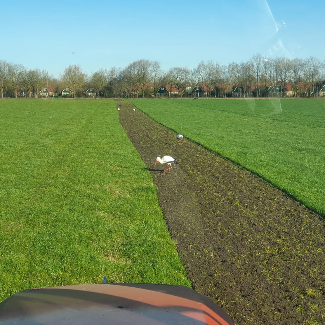 MtsJoling's tweet image. Het voorjaar is van start....
En als je de ooievaars geloven mag wordt het een vruchtbaar jaar.... en dat hopen wij van harte voor iedereen!!!
#succes #coronatijden #beterschap #hoop #voorjaar #werkzaamheden #akkerbouw  #bollenteelt #trotse #bollenteler #Westerveld #Drenthe