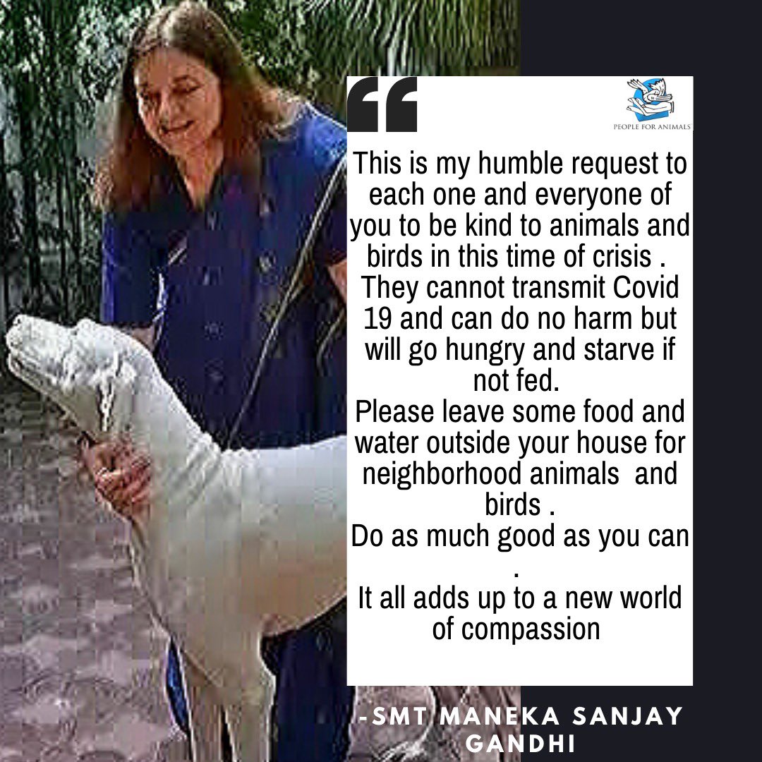 People For Animals India on Twitter: People For Animals India on Twitter:
