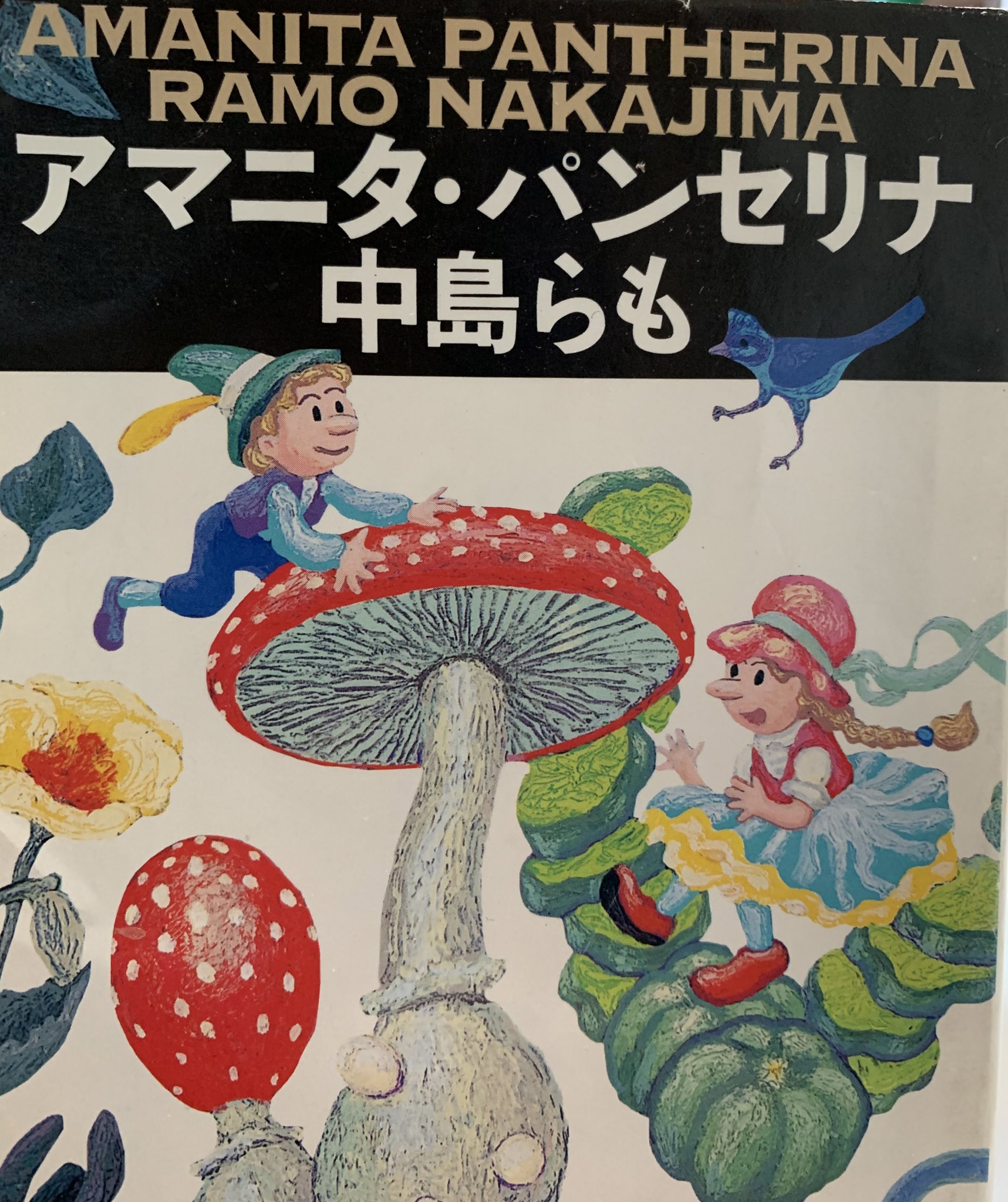 アマニタ パンセリナ Twitter Search Twitter