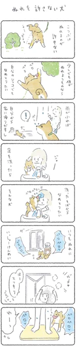 月よう日はこつぶ更新の日?

久々の、ぬれるの好かん話2020年バージョンです

つづきはこちらからぜひ
https://t.co/J03hwuHjje
(24日10:00まで会員さんでなくても見れます)

よろしくお願いします?
#柴犬 #エッセイ 