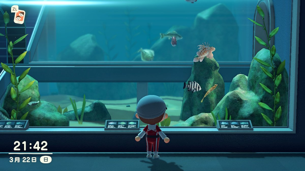 CL___2's tweet image. #动物森友会 #AnimalCrossing #ACNH #NintendoSwitch