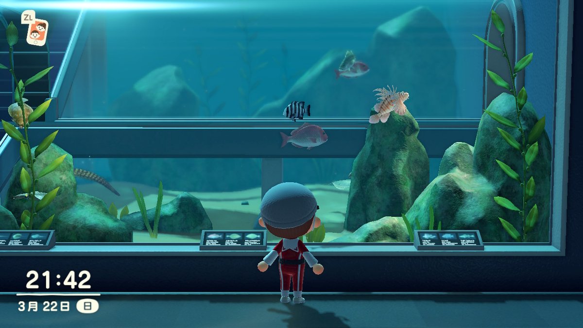 CL___2's tweet image. #动物森友会 #AnimalCrossing #ACNH #NintendoSwitch