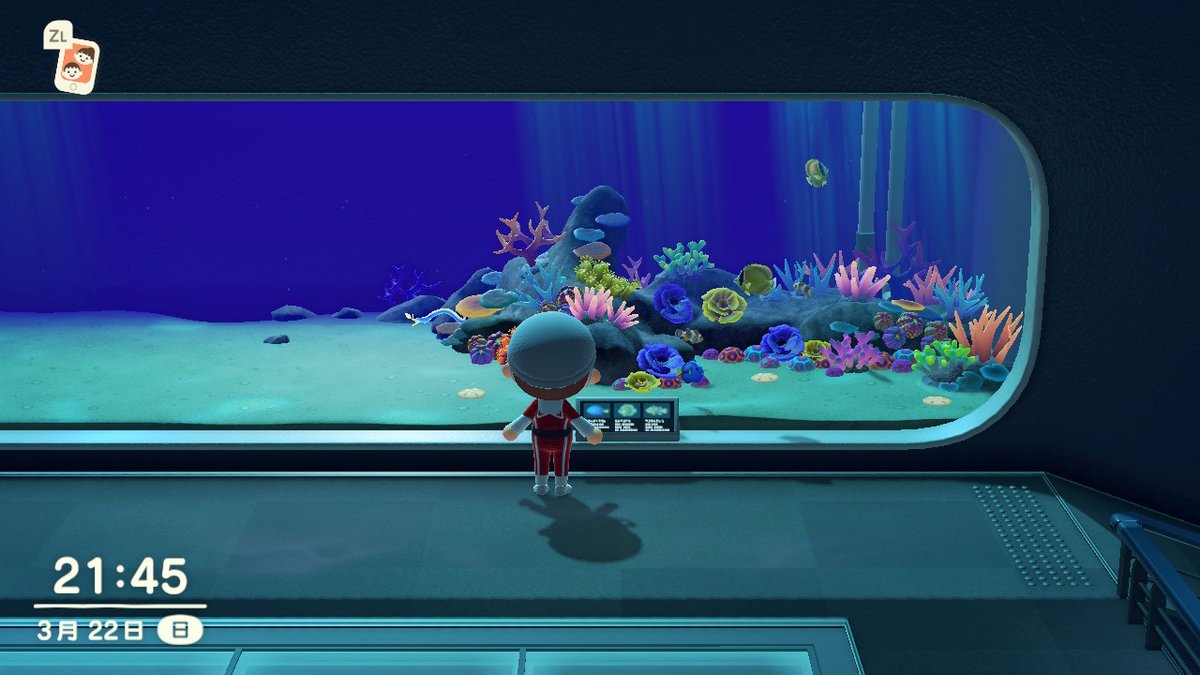 CL___2's tweet image. #动物森友会 #AnimalCrossing #ACNH #NintendoSwitch