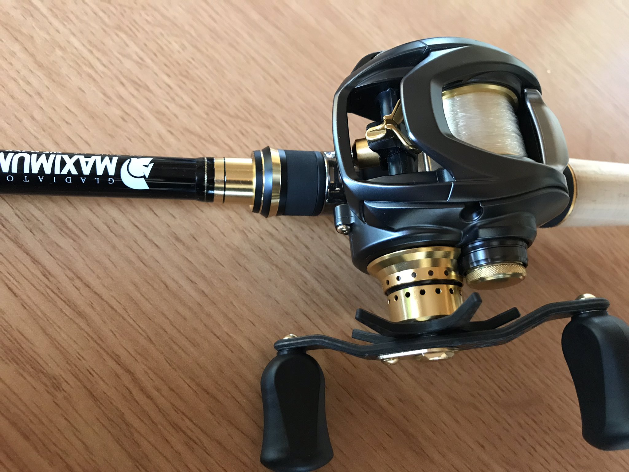 俺のカスタム! ダイワ 23 スティーズ A Ⅱ TW 1000XHL (G) 編 俺のカスタム! ダイワ 23 スティーズ A Ⅱ TW 1000XHL (G) 編