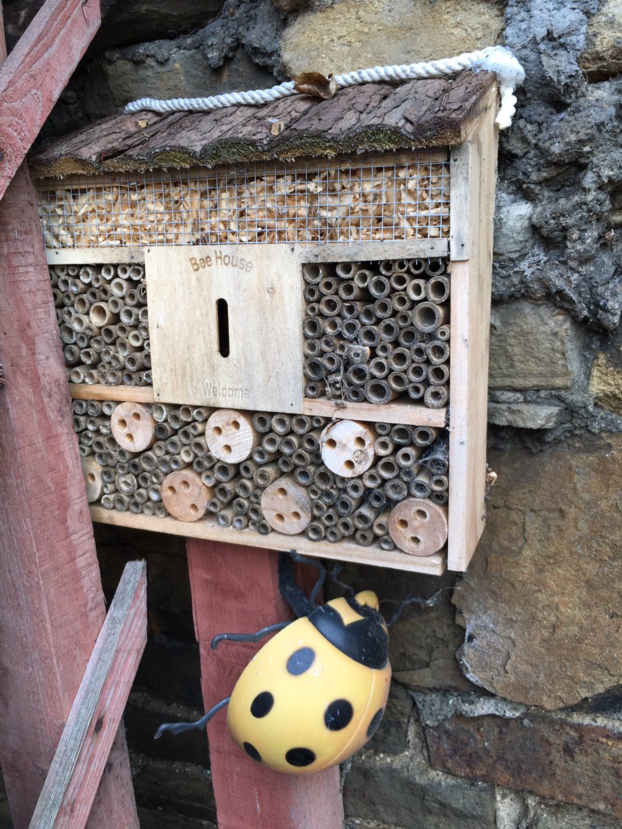 littlenotes_bfd's tweet photo. Today is the start of our bug week.
Join me on Facebook for online classes, get in your garden and look for the bugs on the list, and why not create some crafty projects. #week1 #COVIDー19 #homeschooling #WeCanDoThis #AllinitTogether #preschool #foundation https://t.co/PftVUA6KOn
