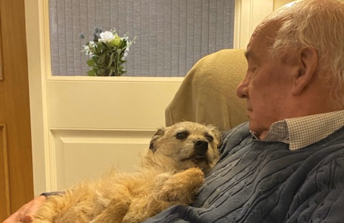 I’ve loaned my ancient terrier to my dad as a #SupportDog during #SelfIsolation. He doesn’t need walks any more - just a garden, love and a lap. I miss him terribly, but this picture made me so happy ❤️