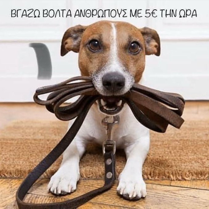 Προβολή εικόνας στο Twitter