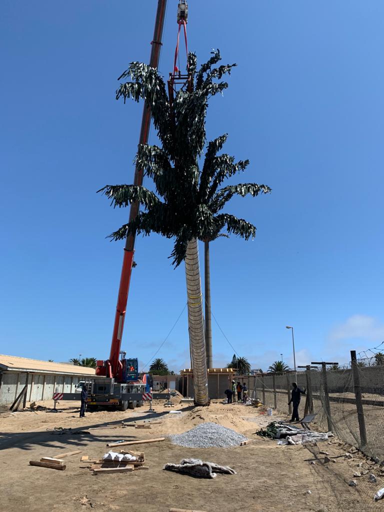 powercomna's tweet photo. Progress at our Walvis Bay Harbour camouflage tree tower site. Project expected to be completed soon. #tower #camouflage #passiveinfrastructure #capexprojects https://t.co/MIogP3rB1O