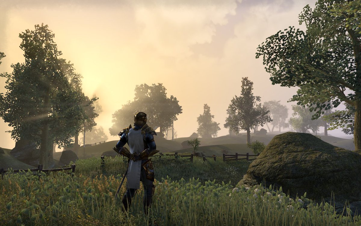 Raptor788's tweet photo. @TESOnline Cyrodiil will once again be a peaceful land. One day. https://t.co/BEKOTwGZCX