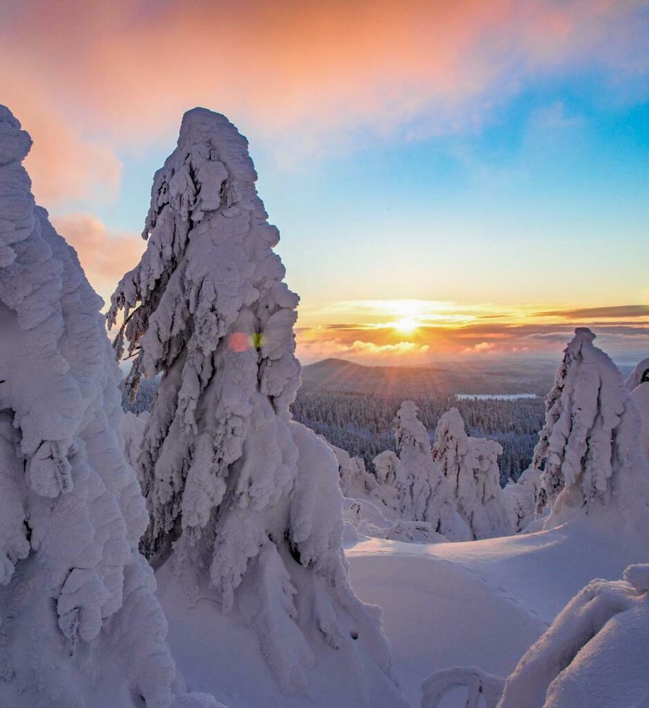Nature_Travel_'s tweet image. Being stuck at home I went through my harddrive and found this beautiful sunset from Germany along with some snow ghosts [OC] [1405x1532] - jay_march_ - EarthPorn - check alltravelfacts.com &amp;lt;- Only for TraveLovers