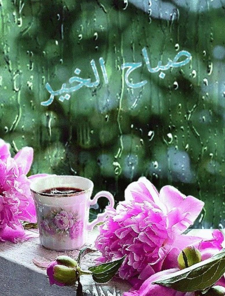 sh_Alshaamsi's tweet photo. كل خير قادم ،
كل جميل قادم ،
ستتنزل الطافه تغمر الأرض وكأن شئ لم يكن، هذا ظني بالله ( فما ظنكم برب العالمين ) 💕 https://t.co/eFUlFHAJ4T