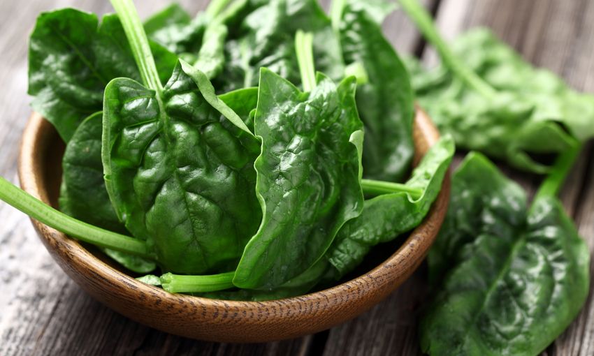 #Spinaci: #valori #nutrizionali e #proprietà di un #ortaggio amico della vista.

Da questa settimana su Kalulu trovate gli #spinaci a #km0 degli amici Azienda Agricola Biocaramadre, ordinate la vostra cassetta!

Proprietà degli spinaci: buff.ly/2GsXKip <a href="/giornaledelcibo/">Il Giornale del Cibo</a>