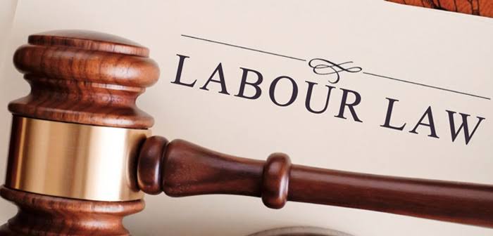 DailyTax's tweet photo. Labour Law Update
23.03.2020 | Monday

Extending the last date of filing of Unified Annual Return under 8 Labour Laws​
for the yeor 2019 upto 30th April 2020 -reg'.

https://t.co/iiszGpgNjC

#dailytaxanalysis #CS #ICSI #Labourlawupdates #labourlaw https://t.co/Na6wllT4e4