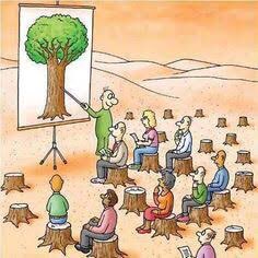 legraasaudye's tweet photo. By choping down trees were are Fools!! #letsmakedifference https://t.co/lS0VwGlG2O