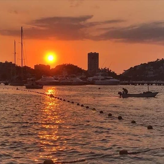 Carlos (@carlos43855786) on Twitter photo 