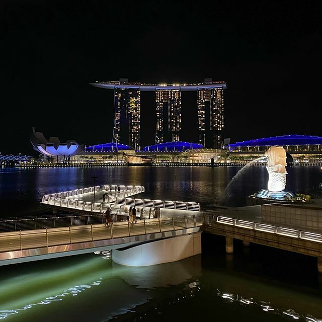 pedroadrian's tweet photo. This place is normally very crowded with tourists, today is first time I saw Merlion Park totally empty. 
With no more tourist allowed into SIngapore not sure how all the hotel and restaurants will survive 😢
Time to plan Staycations and visit local r… https://t.co/tMgcbf32Ga https://t.co/kpvPBmfbpX