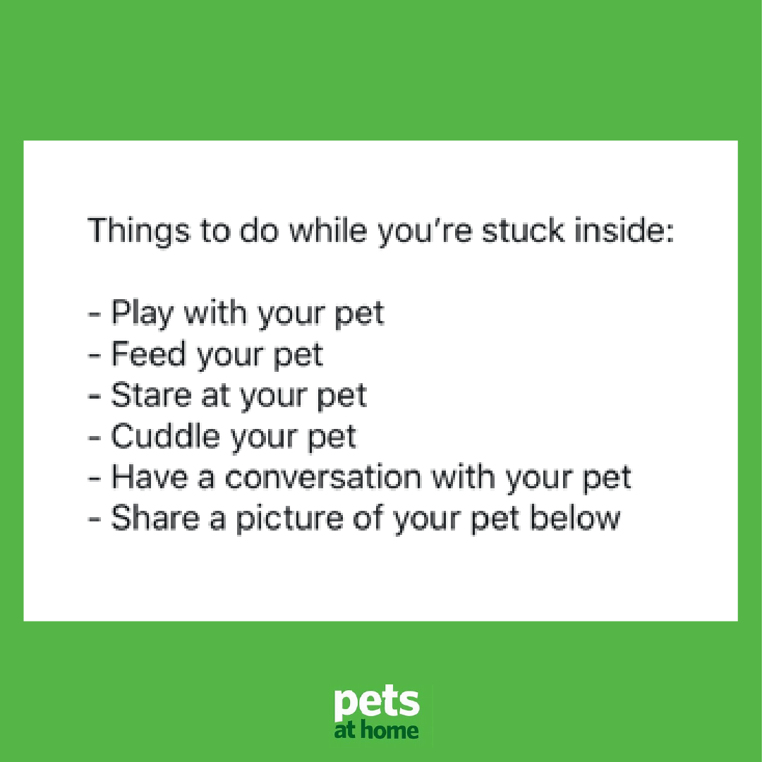 petsukofficial's tweet photo. Relatable!?😆🤣 https://t.co/eGTiRF36Iw