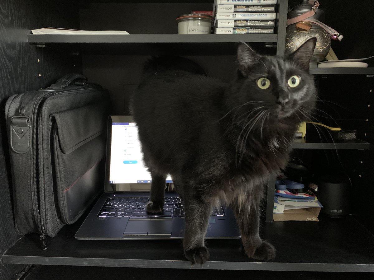 WhartonLibrary's tweet image. Anyone else having trouble dealing with their new classmates/coworkers during this elearning week?

I feel like my new coworker does not respect my boundaries. :D

#WeAreWharton