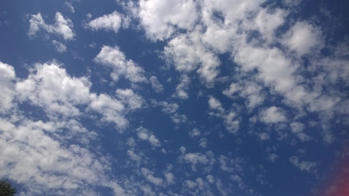 thinking_ally's tweet photo. #naturalbreak No.1 Cloud-gazing Spend 5 mins looking at the sky, outside if you can or through a window. Notice clouds, birds, planes, whatever's there. Shapes, movement, colour: what catches your eye? Give yourself permission to breathe & daydream, before restarting your day. https://t.co/pYy8jQed3b