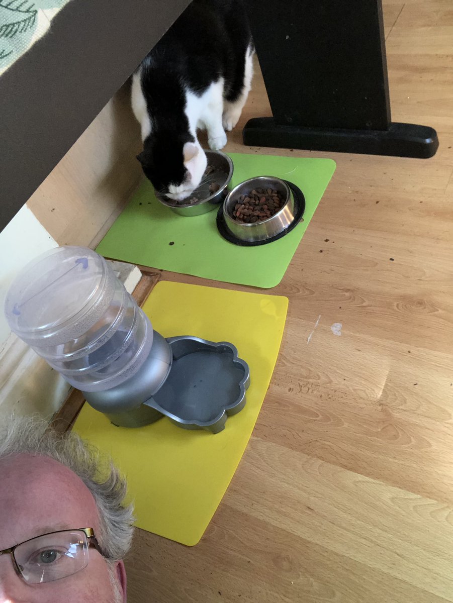 thebustocrookes's tweet image. Day two of #workingfromhome and I try to spark up one of those “water cooler” conversations to relate my evening but my new boss ignores my chat as he scoffs his lunch...