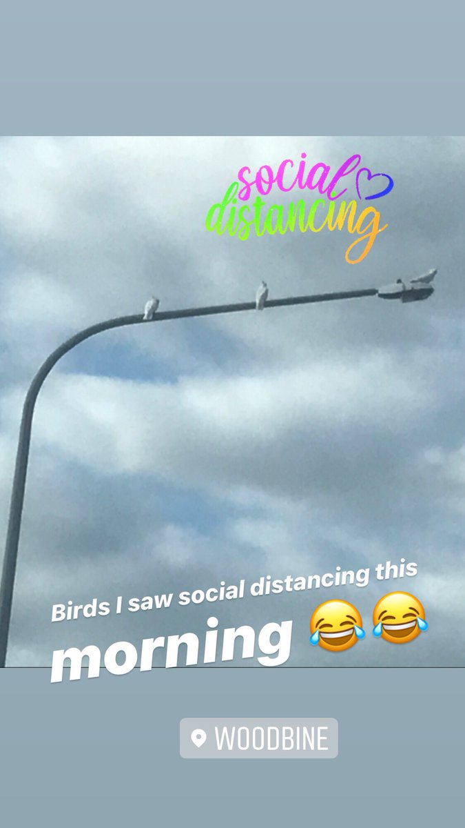 Paulina Alone (@paulinaalone) on Twitter photo 