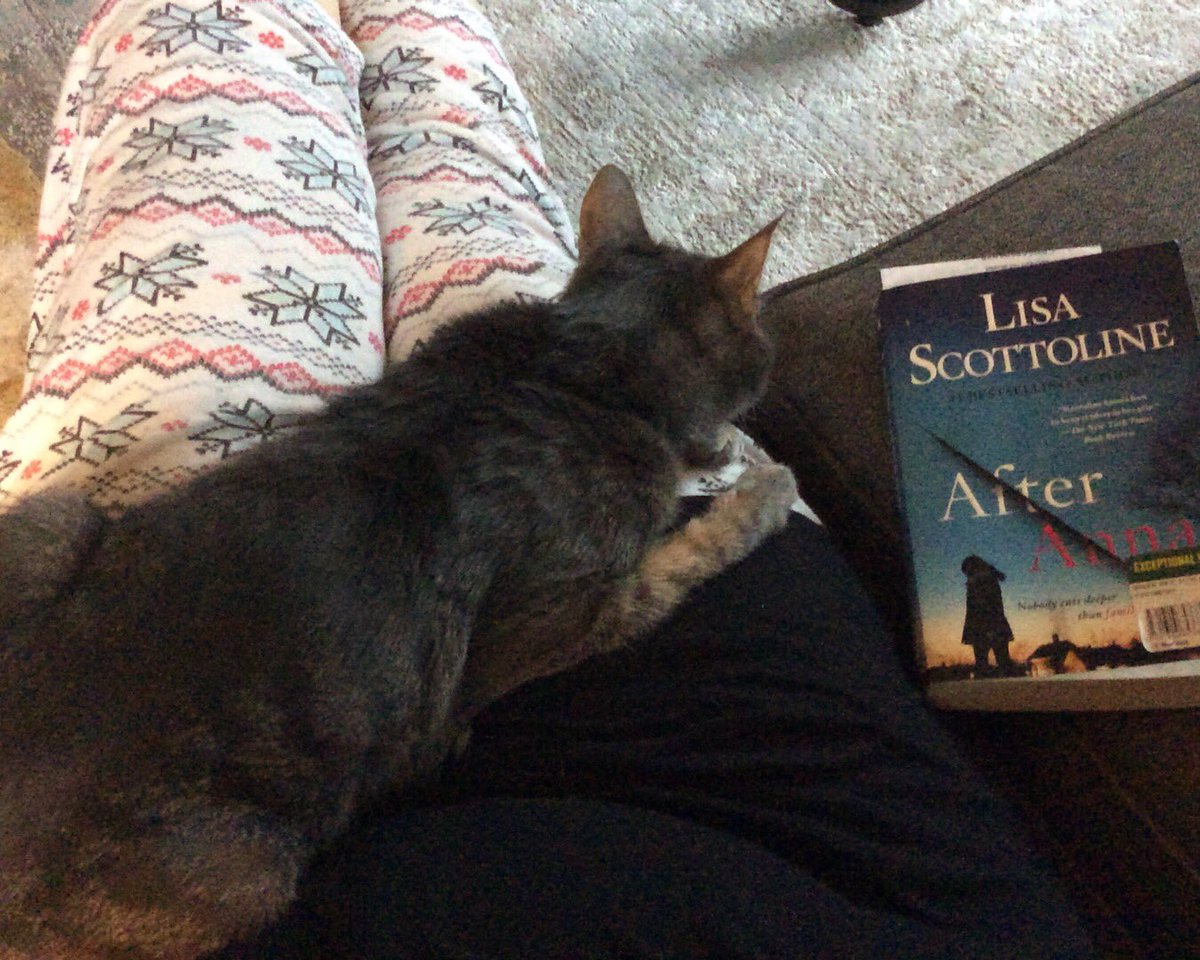 KingsKdgClass's tweet photo. @MrsDalonzo2 Reading in my jammies! (Thanks for posting this! I copied and shared it on my Class Dojo with my kiddos!) https://t.co/vdeLlb7ZAK