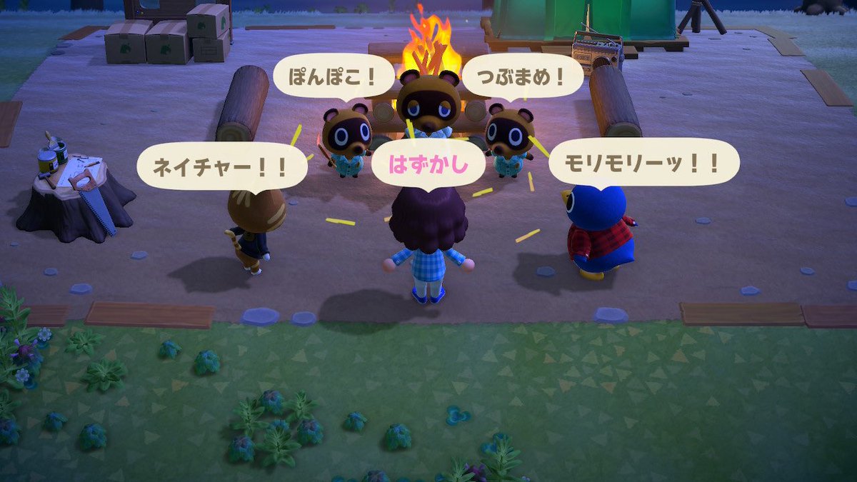 タヌキ 拡大 森 あつ 商店