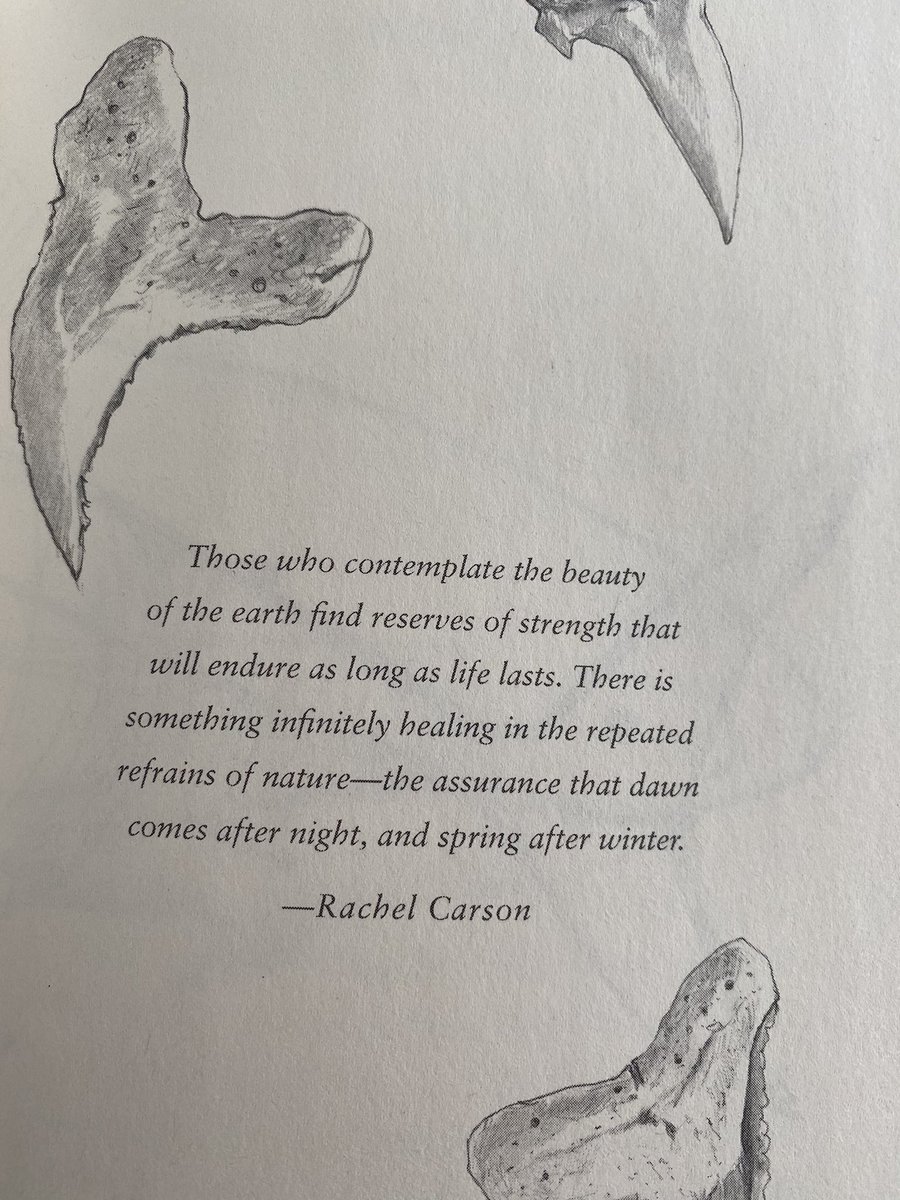 Mrs_C_Wallace's tweet photo. Our new read aloud, The Line Tender by Kate Allen begins with a very special message for us. https://t.co/uAy8lZ3Lsf