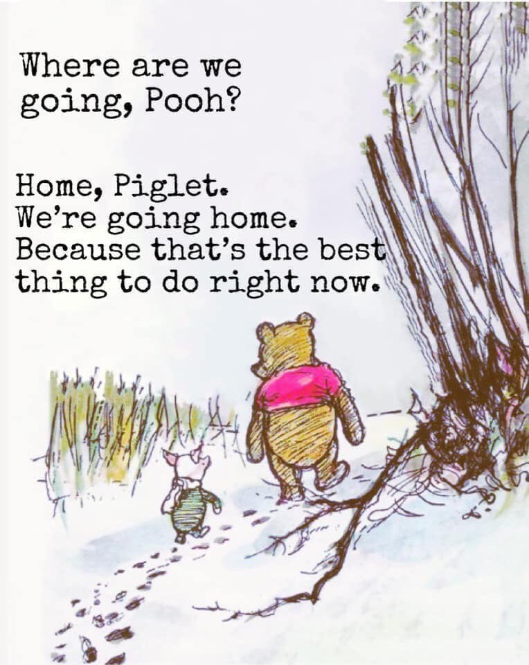 FlingLimestone's tweet image. Follow the Pooh💕