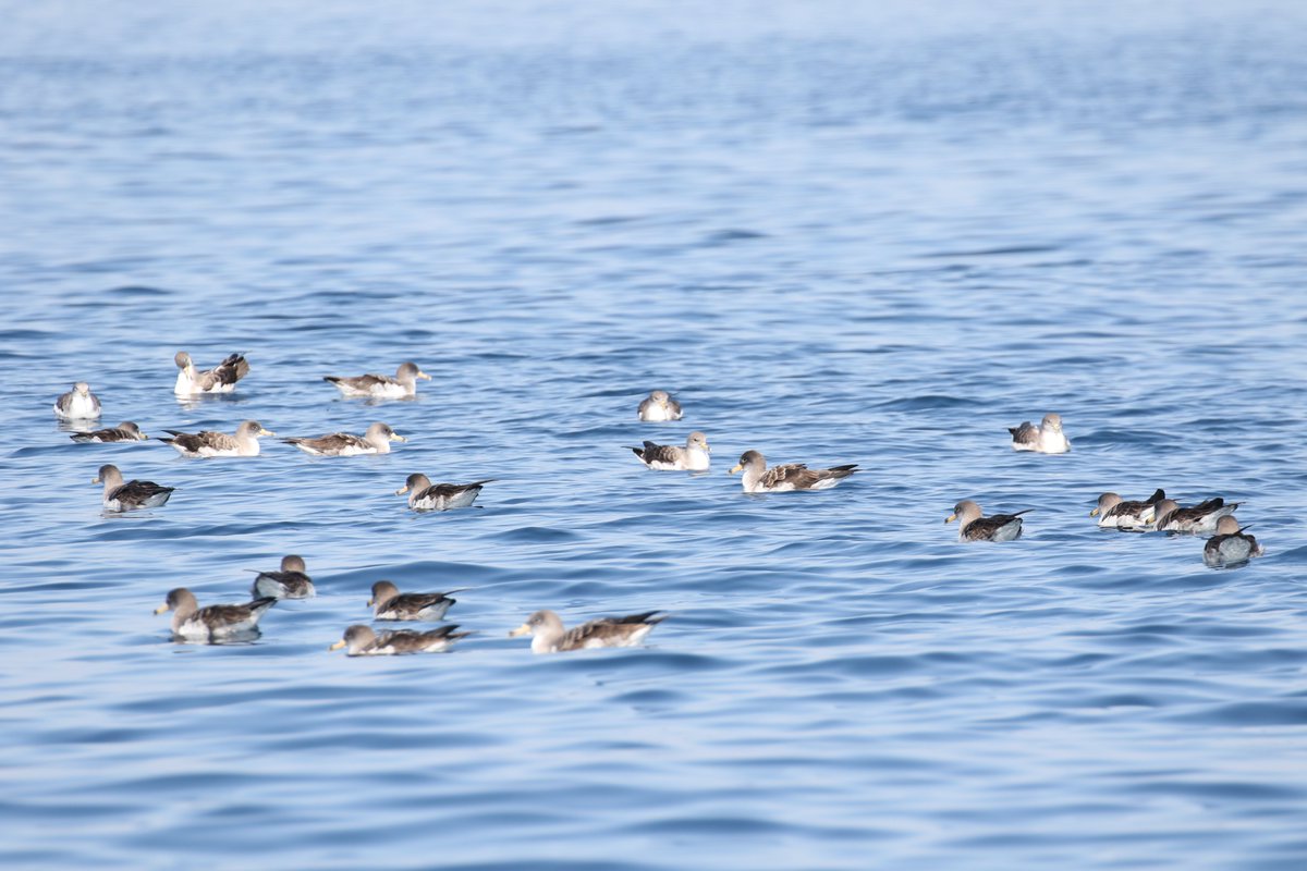 Parc national des Calanques tweet media