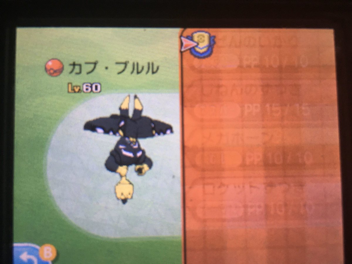 レアポケモン配布中ジグザグマ 色違いカプ系 サンムーンレート対戦で 暴れてた強いポケモン 冬の拡張パックで解放されたら また大暴れするのだろう ランクマ勢には是非欲しい ポケモンたちである