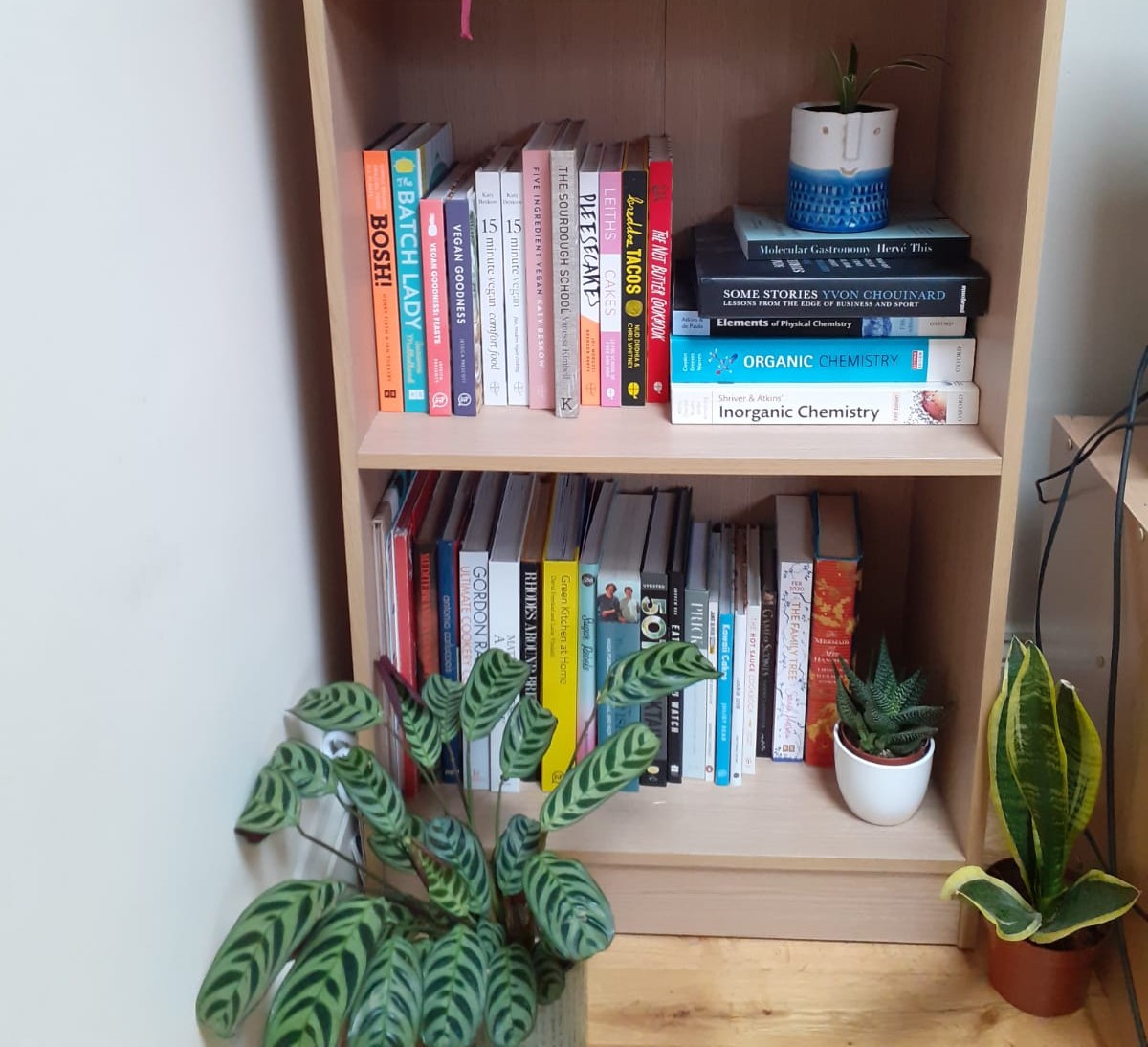 CALLING ALL BOOK LOVERS!  We know lots of people are staying home right now, so join us in brightening up Twitter the best way we know how… with books! 

From your messy TBR piles to organised bookcases, we’d love you to #ShowUsYourShelves! Bonus points for plants… 📖🌿