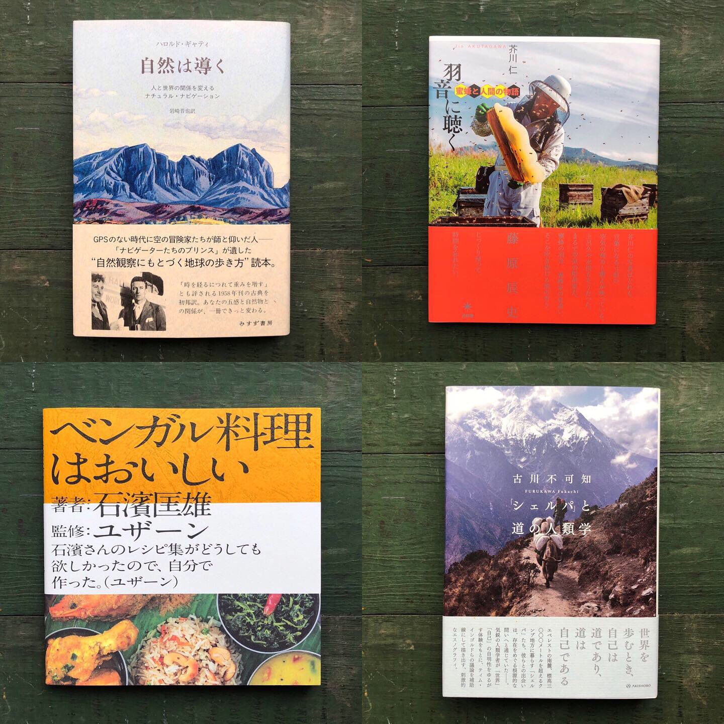 Uresica ウレシカ 最近入荷してた本 自然は導く 羽音に聴く ベンガル料理はおいしい シェルパと道の人類学 災害で消えた小さな命 ヒロシマ消えたかぞく 日本捕鯨史 戦争とおはぎとグリンピース いのちの巡礼者 本を贈る 土曜日は灰色の馬 中くらいの