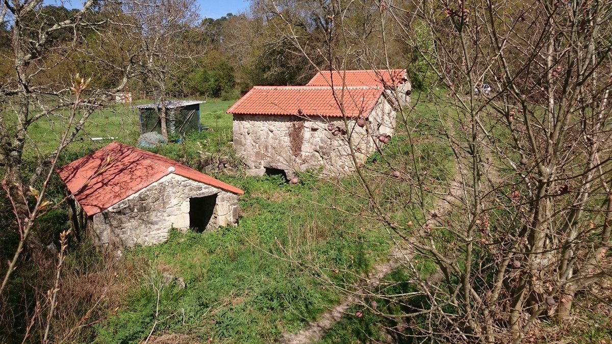 BAIXO MIÑO: DESFRUTEN DAS FOTOS, ISTO VAI DESAPARECER 

Unha Autovía proxectada pola Axencia Galega de Infraestruturas (Xunta) vai rachar pola metade a paisaxe, a economía e a vida do #BaixoMiño 

[1|2]