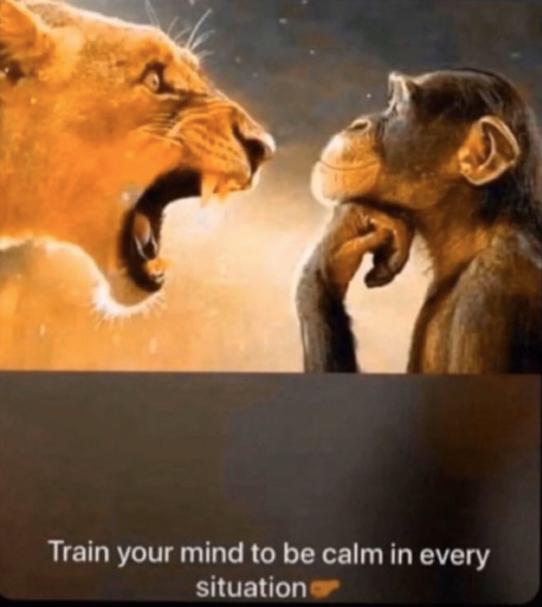 Deyon Agoi on Twitter "🥴Monkey is moving mad…