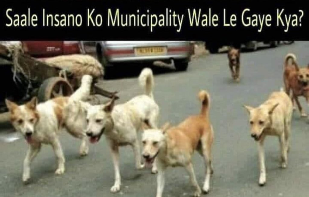 IsmailJibran's tweet photo. Me : apna time ayega 🤟🏻.                          She : humraha time kbhi Nahi aata😡 Dog : ab apna time hei.🔥 https://t.co/BpLGAULzkq
