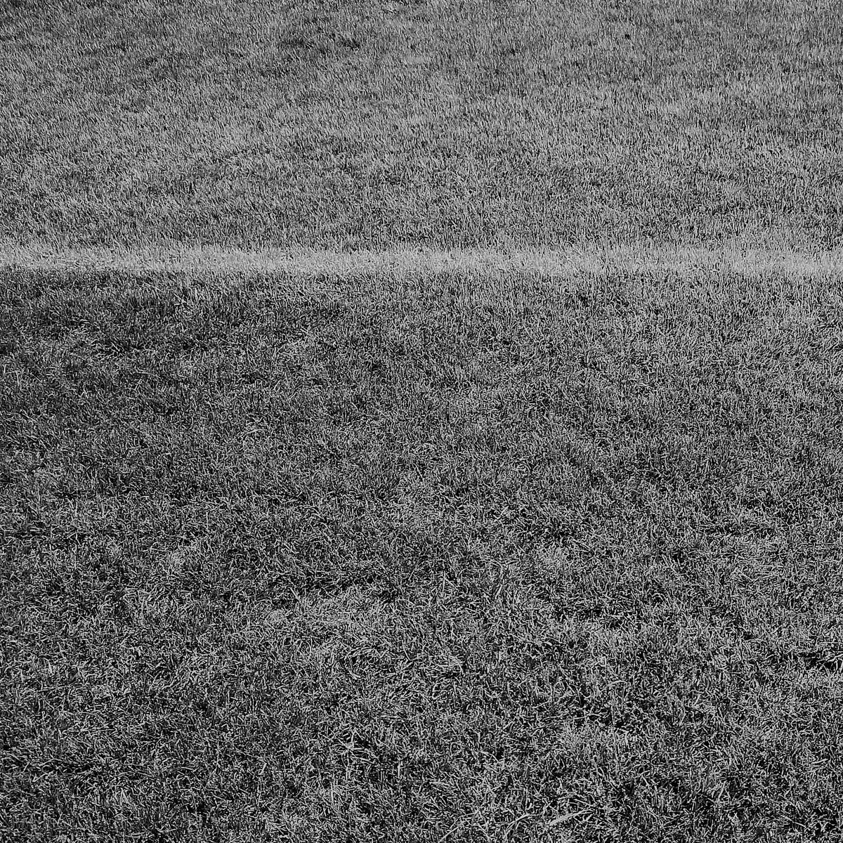 mediasportslaw's tweet photo. Sportorganisationen erhalten Unterstützung des Bundes. Alle Infos zu den Voraussetzungen finden sich in unserem aktuellen Blogbeitrag. https://t.co/0mIQtqzuqD https://t.co/c0zLFR7LJ0