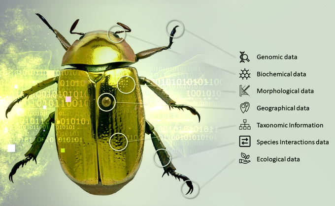 EU_ENV's tweet photo. Join the #ProjectWithCoolAcronym challenge!
Our favourite is @DiSSCoEU: "Distributed System of Scientific Collections", key to understand #Biodiversity2020:
1.5 B specimens 🕷️🌿🐧
120 institutions 🔬
5.000 scientists 👩🏾💻
in 21 countries 🕺🏾
Learn more on https://t.co/NaOTH2VmYt https://t.co/0PLrtExgUO