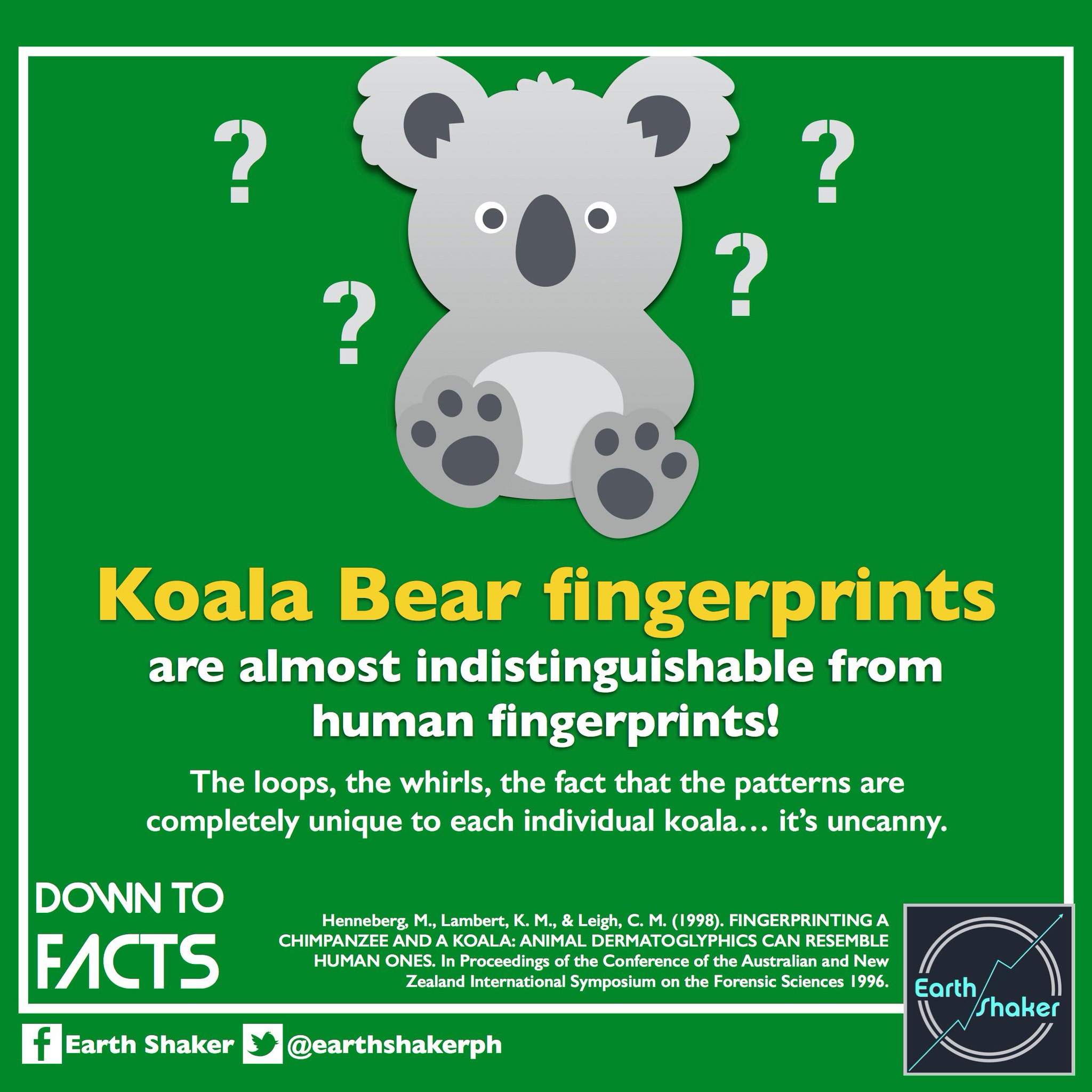Koala Fingerprints Are Almost Indistinguishable From A Human's