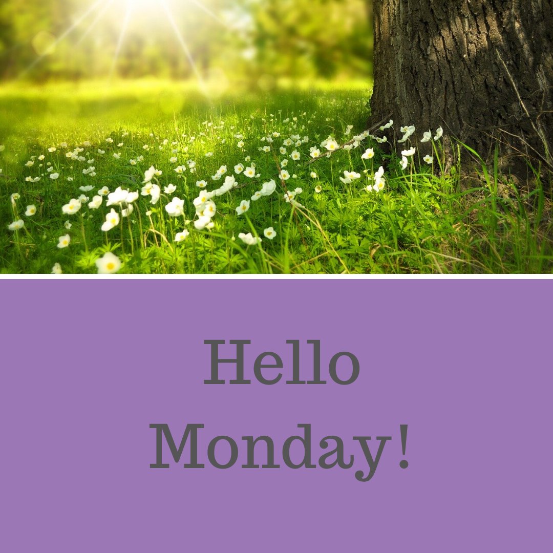 Calm Therapy tweet media