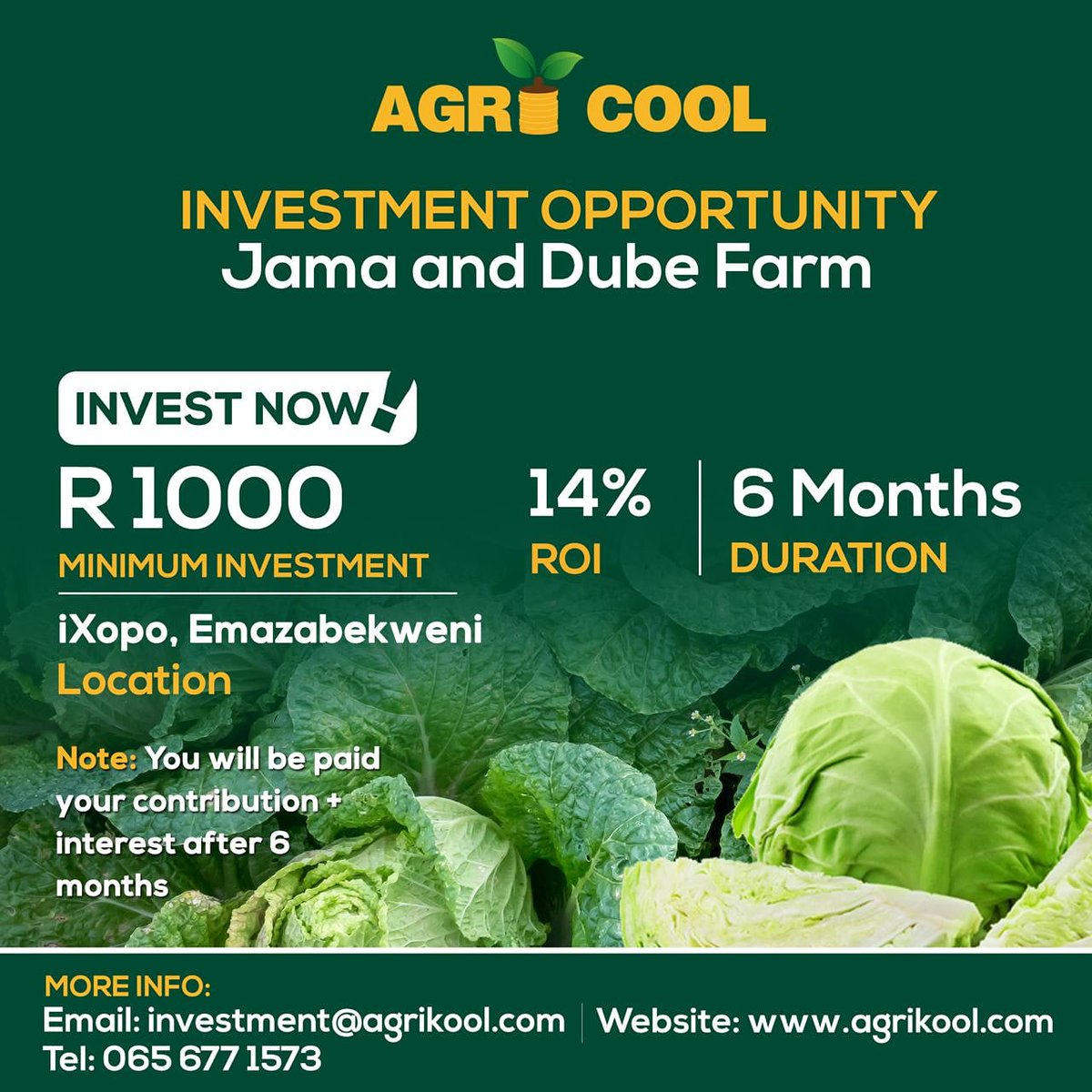 It's live! Just WhatsApp 065 677 1573 or email investment@agrikool.com for now details and contract. 🤑

Grow your money and empower smallholder farmers. 😀
