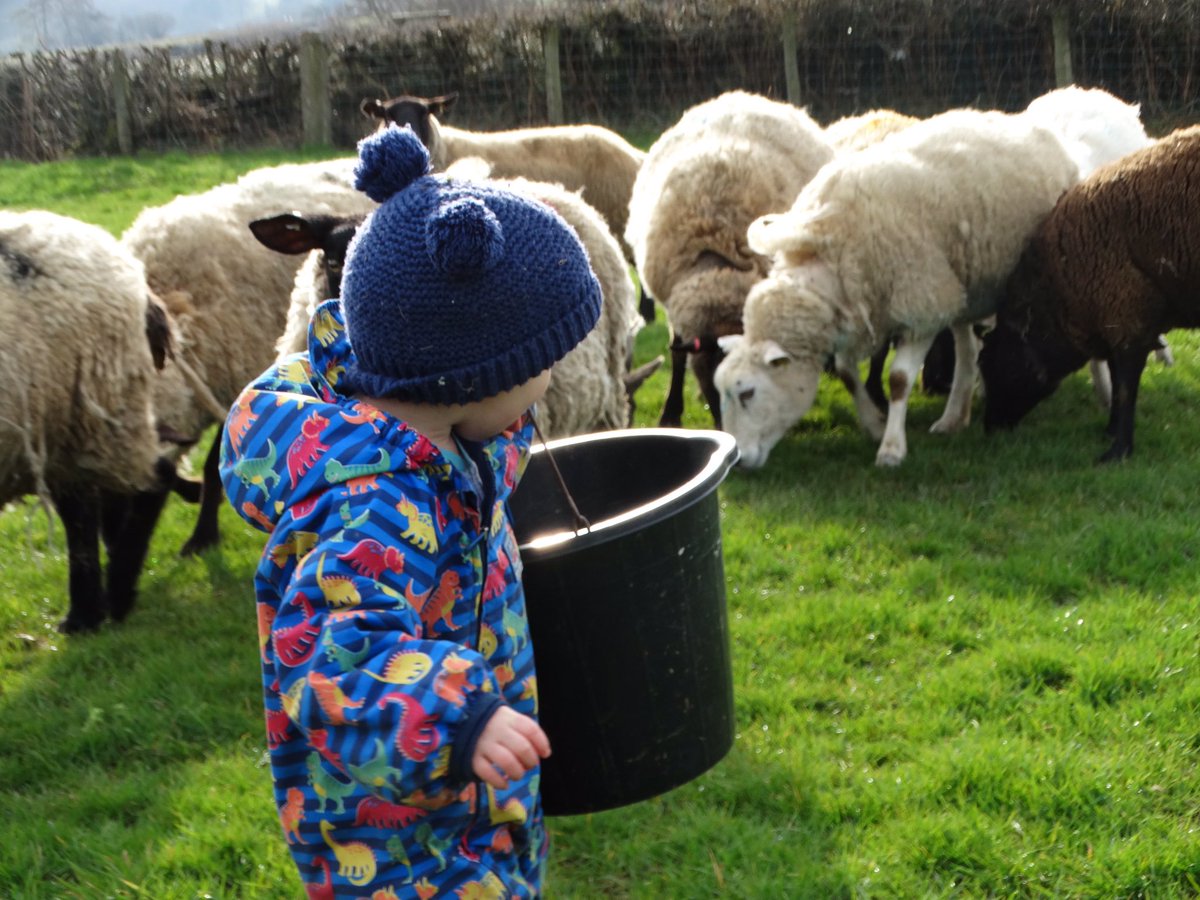 LlwydPant's tweet photo. Feeding the sheep 🐑 this morning  we are a #multigenerational farm - like most family farms in Wales 🏴󠁧󠁢󠁷󠁬󠁳󠁿 were busy #lambing &amp; #calving &amp; self-isolating - pls enjoy walking but pls avoid farmyards 
·
#FamilyFarm #MyFamily #BreconBeacons #selfisolating 
@carolvorders https://t.co/f7V3y5GrgN