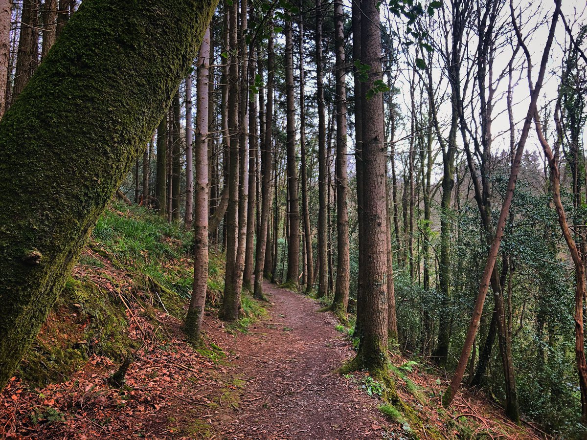 Destination New Ross tweet media